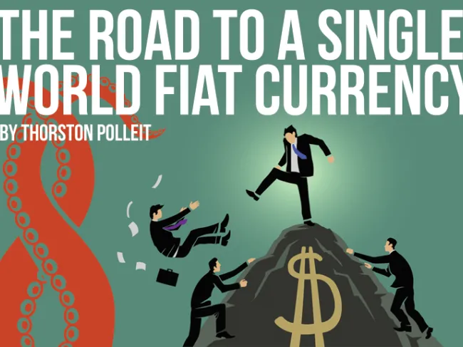 The Road to a Single Fiat World Currency article